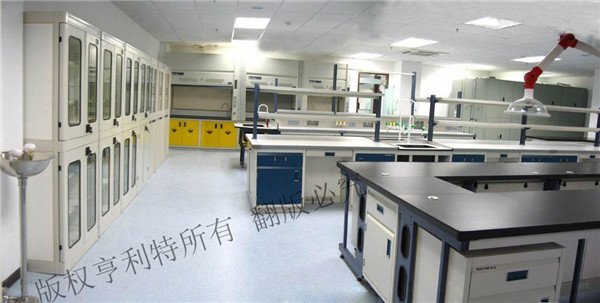 91免费视频网站實驗台